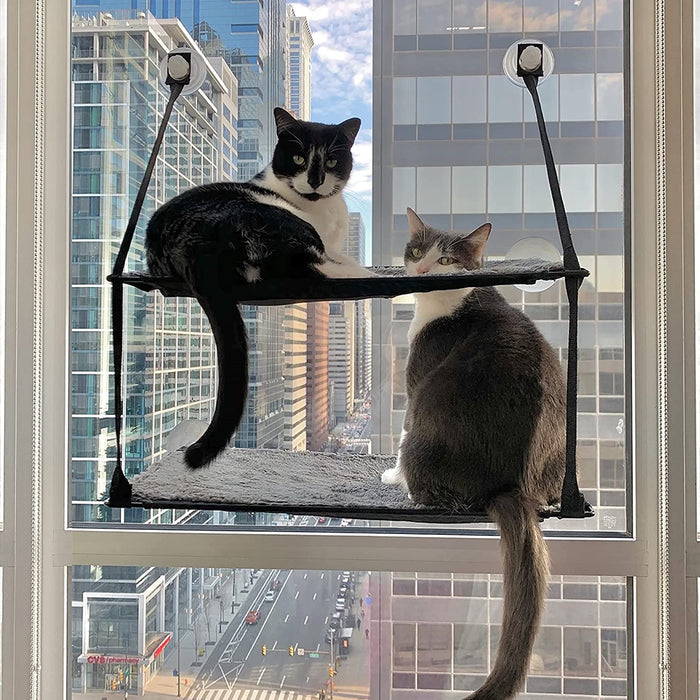 PETSWOL 2 Layer Cat Window Perch Cat Hammock