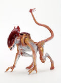 Aliens Panther Kenner Tribute Action Figure 7” Scale with Drone Black