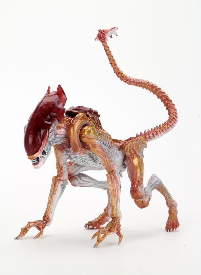 Aliens Panther Kenner Tribute Action Figure 7” Scale with Drone Black