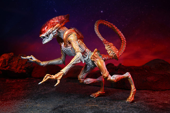 Aliens Panther Kenner Tribute Action Figure 7” Scale with Drone Black