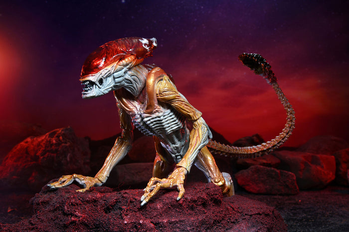 Aliens Panther Kenner Tribute Action Figure 7” Scale with Drone Black