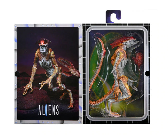 Aliens Panther Kenner Tribute Action Figure 7” Scale with Drone Black
