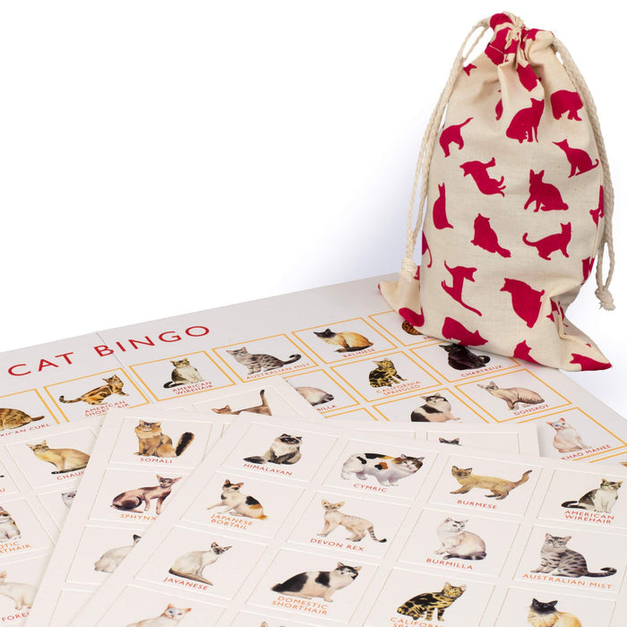 Brumby - Bingo - Cat
