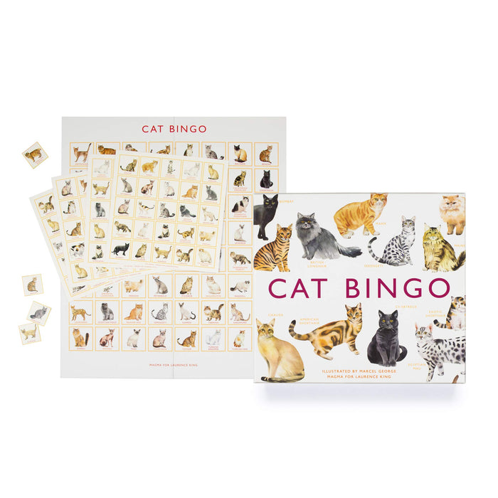Brumby - Bingo - Cat