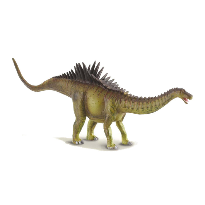 Collecta - Agustinia