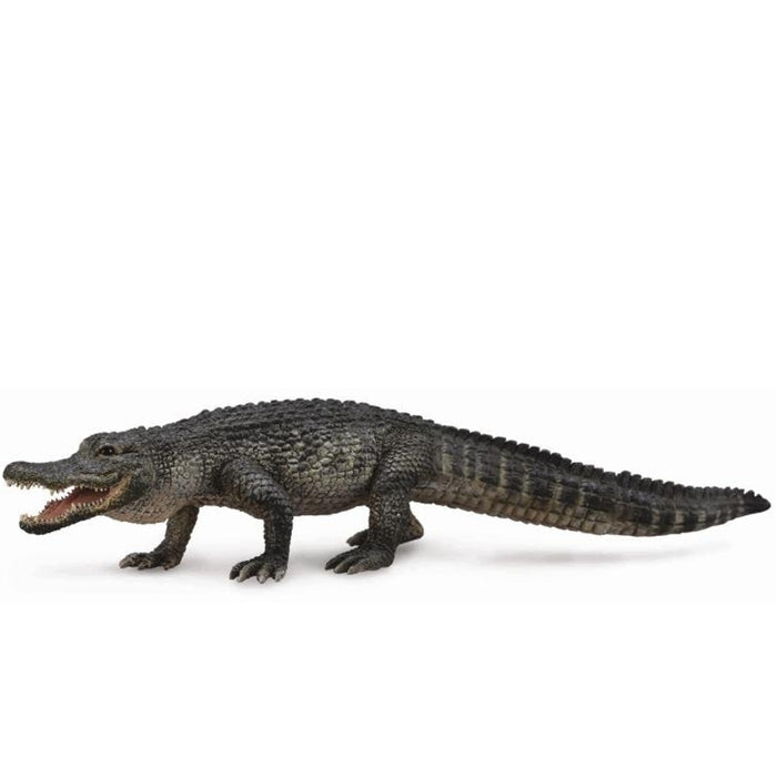 Collecta - American Alligator