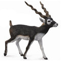 Collecta - Blackbuck