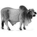 Collecta - Brahman Bull Grey
