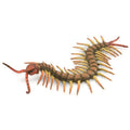 Collecta - Centipede