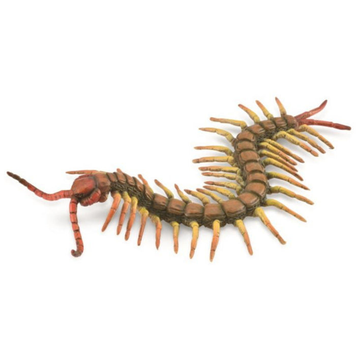 Collecta - Centipede