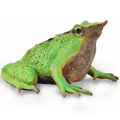 Collecta - Darwins Frog