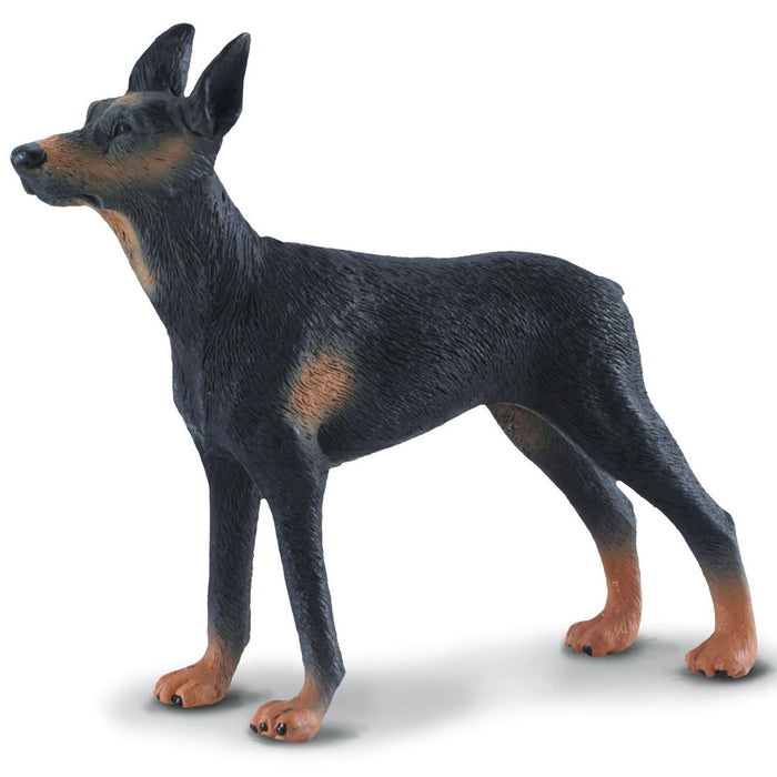 Collecta - Doberman Pinscher