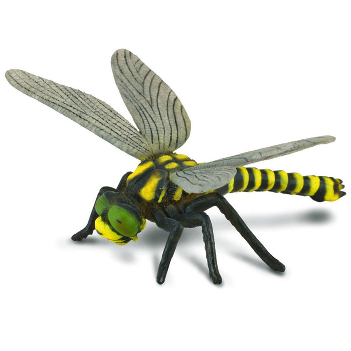 Collecta - Golden Ringed Dragonfly