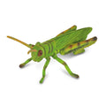 Collecta - Grasshopper