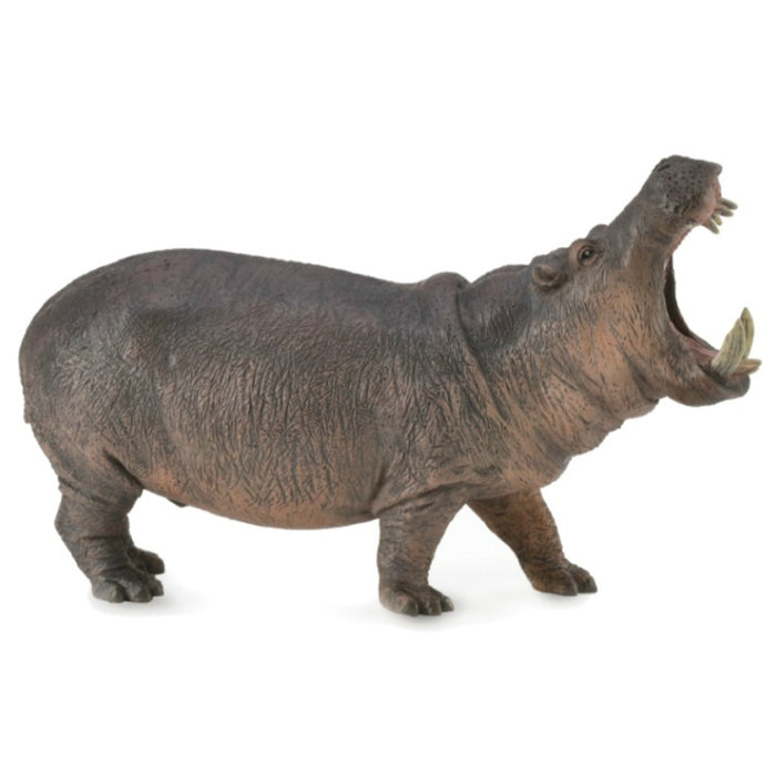 Collecta - Hippopotamus