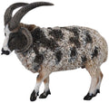 Collecta - Jacob Sheep