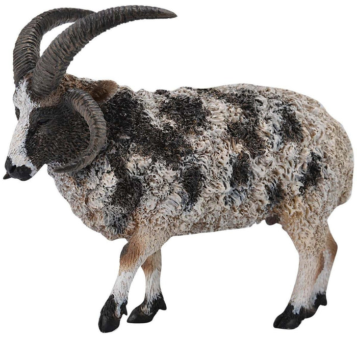 Collecta - Jacob Sheep