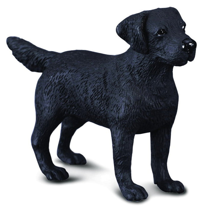 Collecta - Labrador Retriever