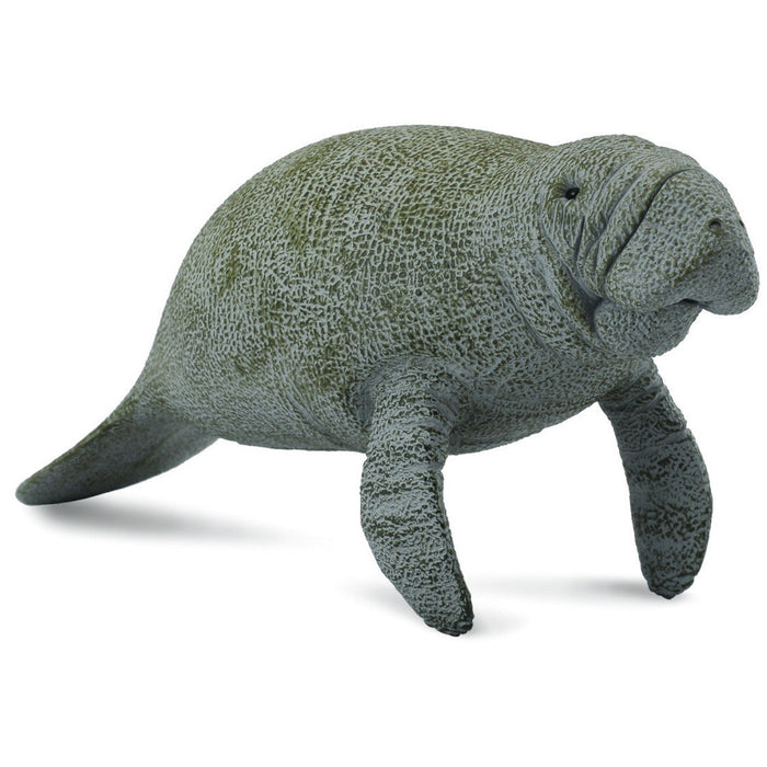 Collecta - Manatee