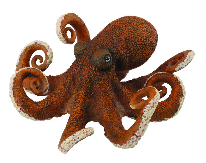 Collecta - Octopus
