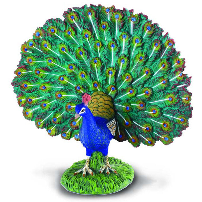 Collecta - Peacock