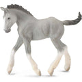 Collecta - Shire Horse Foal Grey