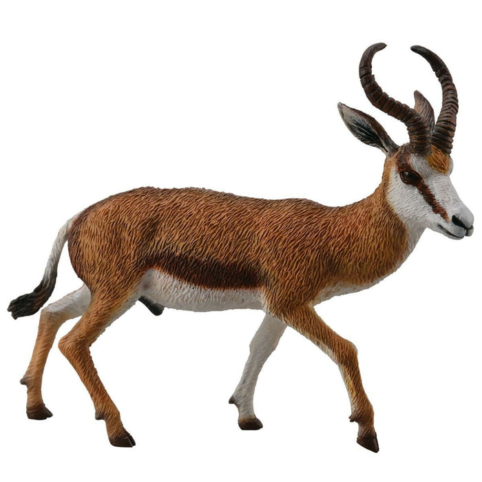 Collecta - Springbok