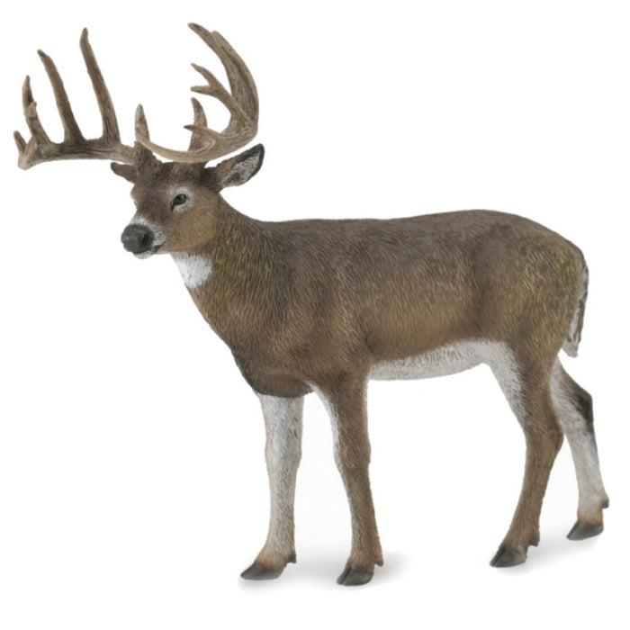 Collecta - White-Tailed Deer