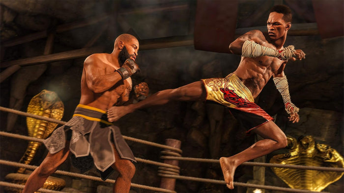 Electronic Arts UFC 4 (PS4)