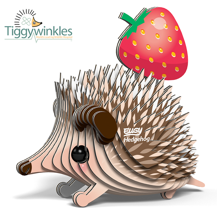 EUGY - Hedgehog