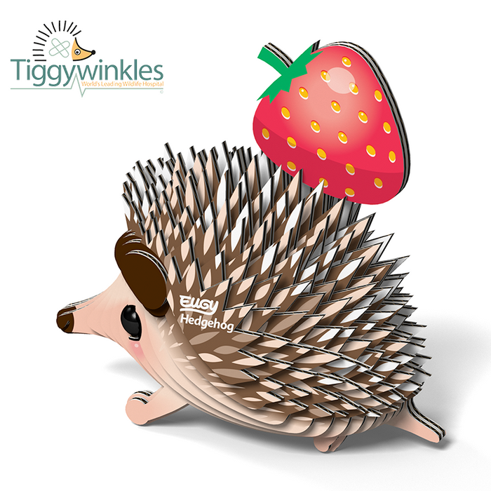 EUGY - Hedgehog