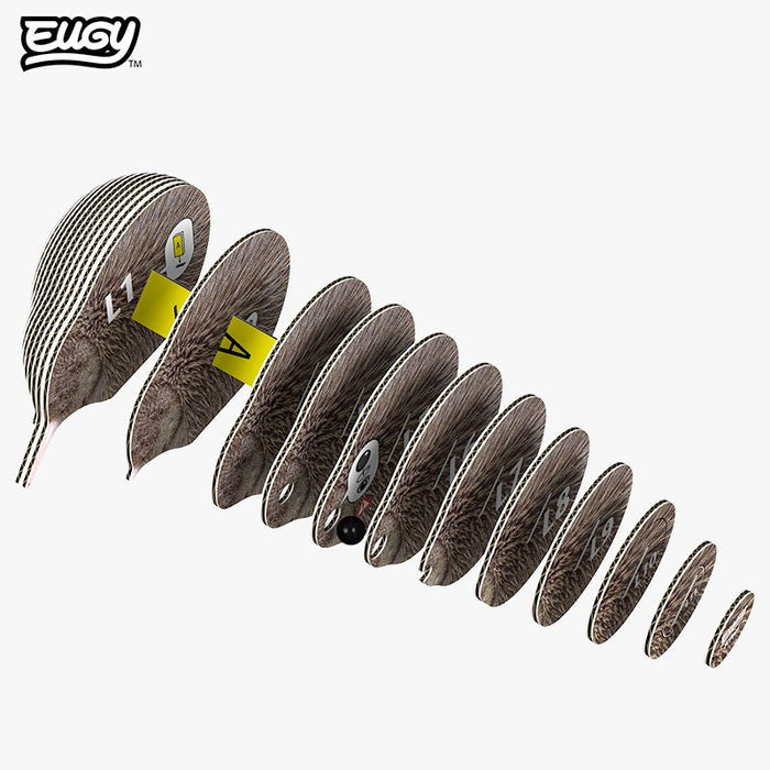 EUGY - Kiwi