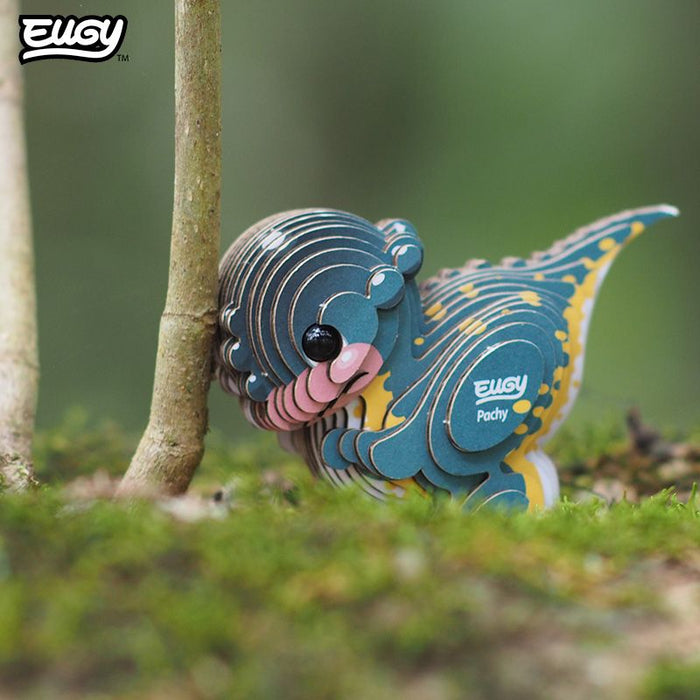 EUGY - Pachycephalo