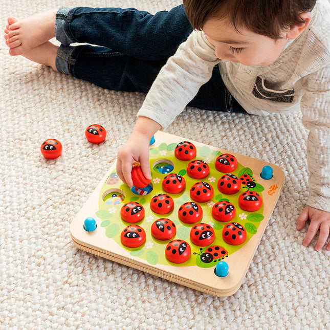 Fat Brain - ladybug Memory Game