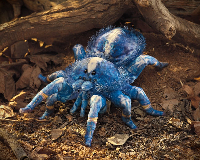 Folkmanis - Blue Tarantula Puppet