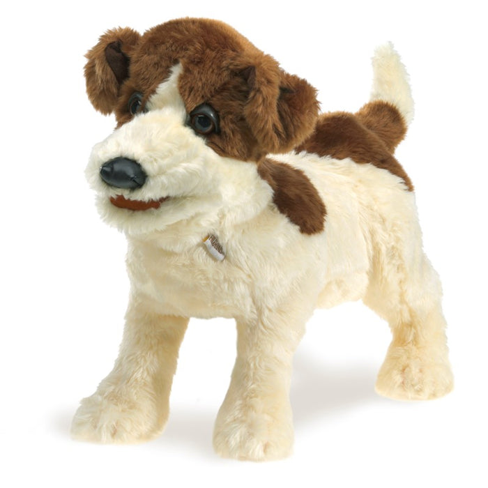 Folkmanis - Jack Russell Smooth Coat Puppet