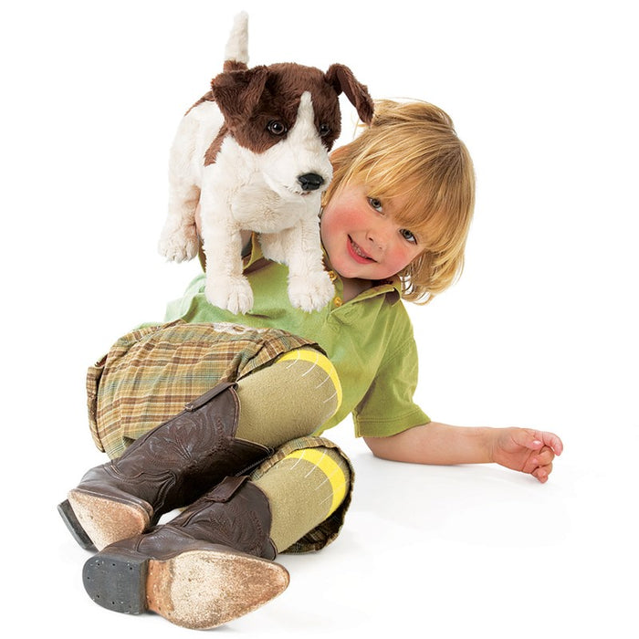 Folkmanis - Jack Russell Smooth Coat Puppet