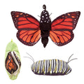 Folkmanis - Monarch Life Cycle Puppet