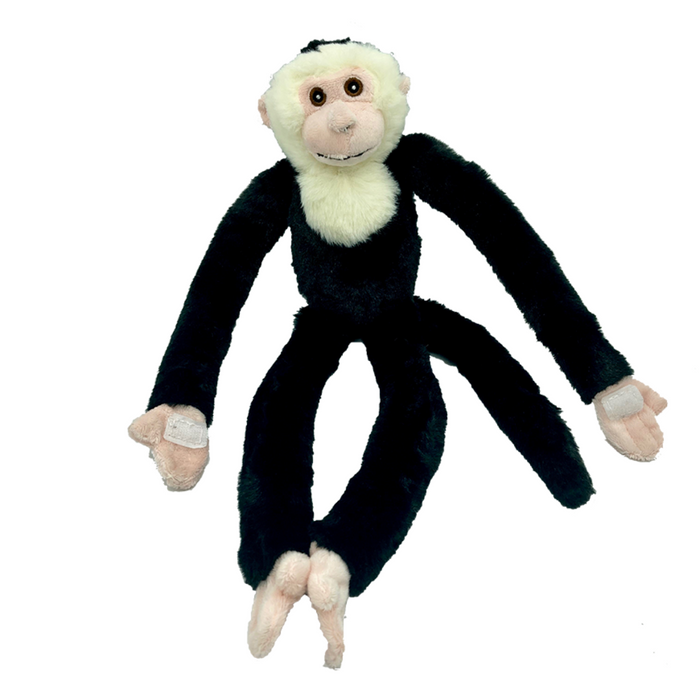 Huggable - Christopher Capuchin