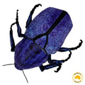 Huggable - Cleo Scarab Beetle Blue