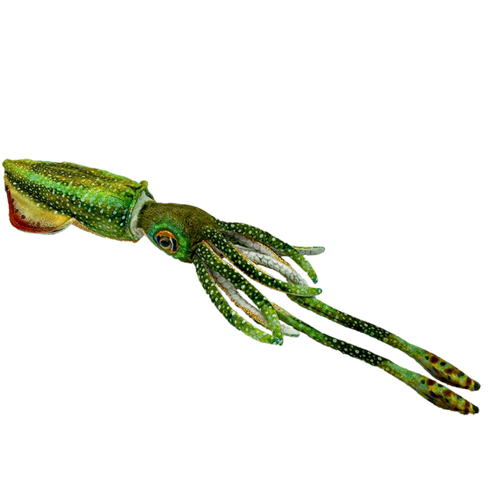 Huggable - Corey Cuttlefish