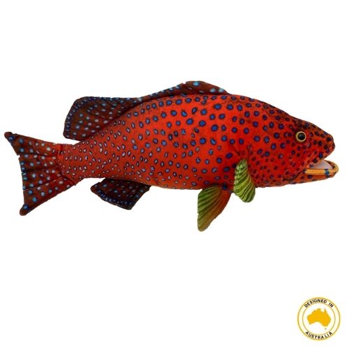 Huggable - Corine Coral Trout