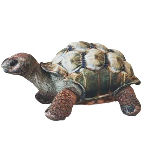 Huggable - Darwin Tortoise