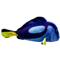 Huggable - Eco Hugs Tang Fish