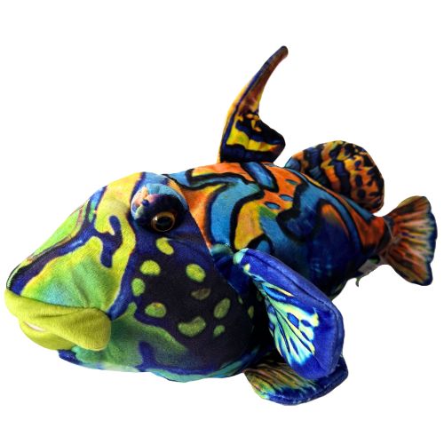 Huggable - Marina Mandarin Fish