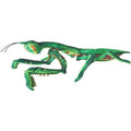 Huggable - Paula Praying Mantis