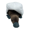 Huggable - Petra Platypus Hatchling
