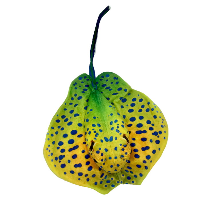 Huggable - Solomon Stingray 50cm