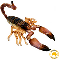 Huggable - Spike Scorpion