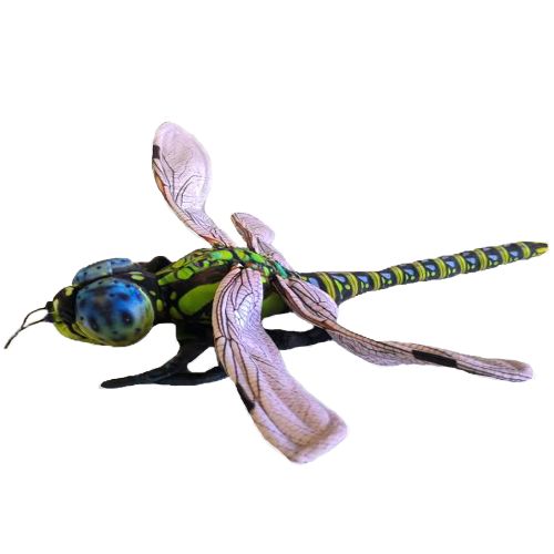 Huggable -Journey Dragonfly